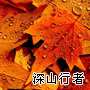卞絢